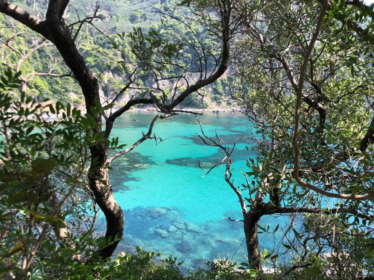 Sebastian's - Family Sea View Agios Gordios (Corfu)